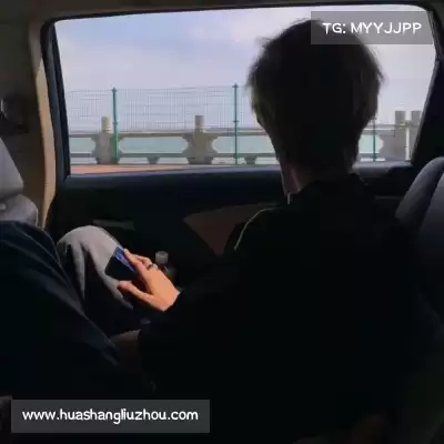 薄霜凤
